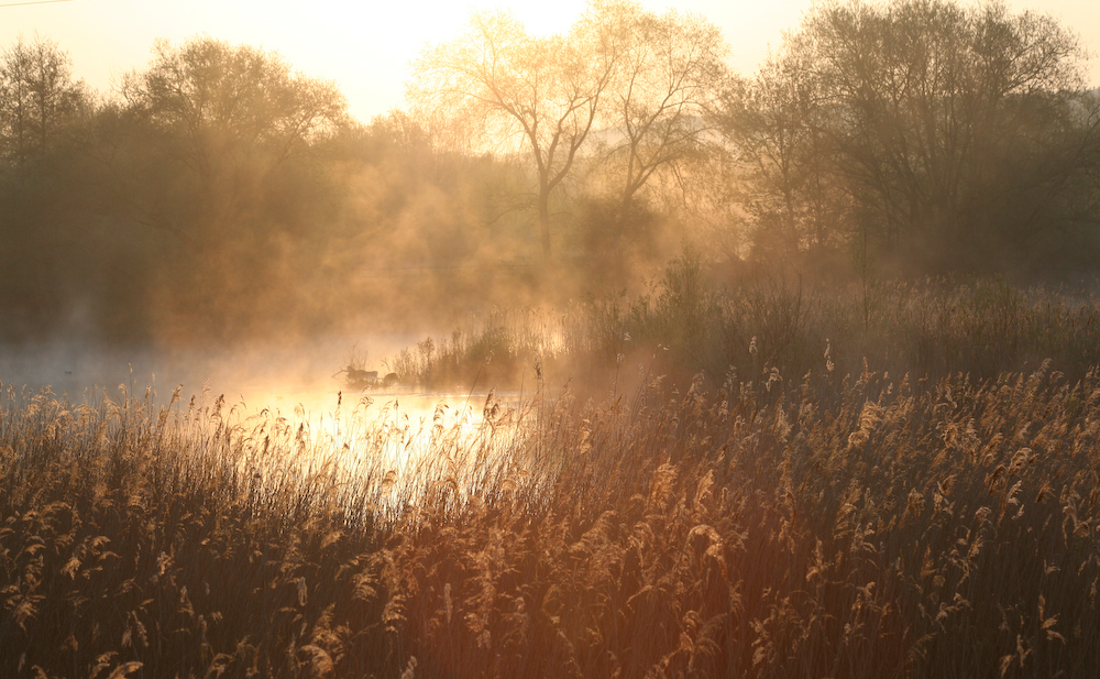 Lee Valley on Film - Lee Valley